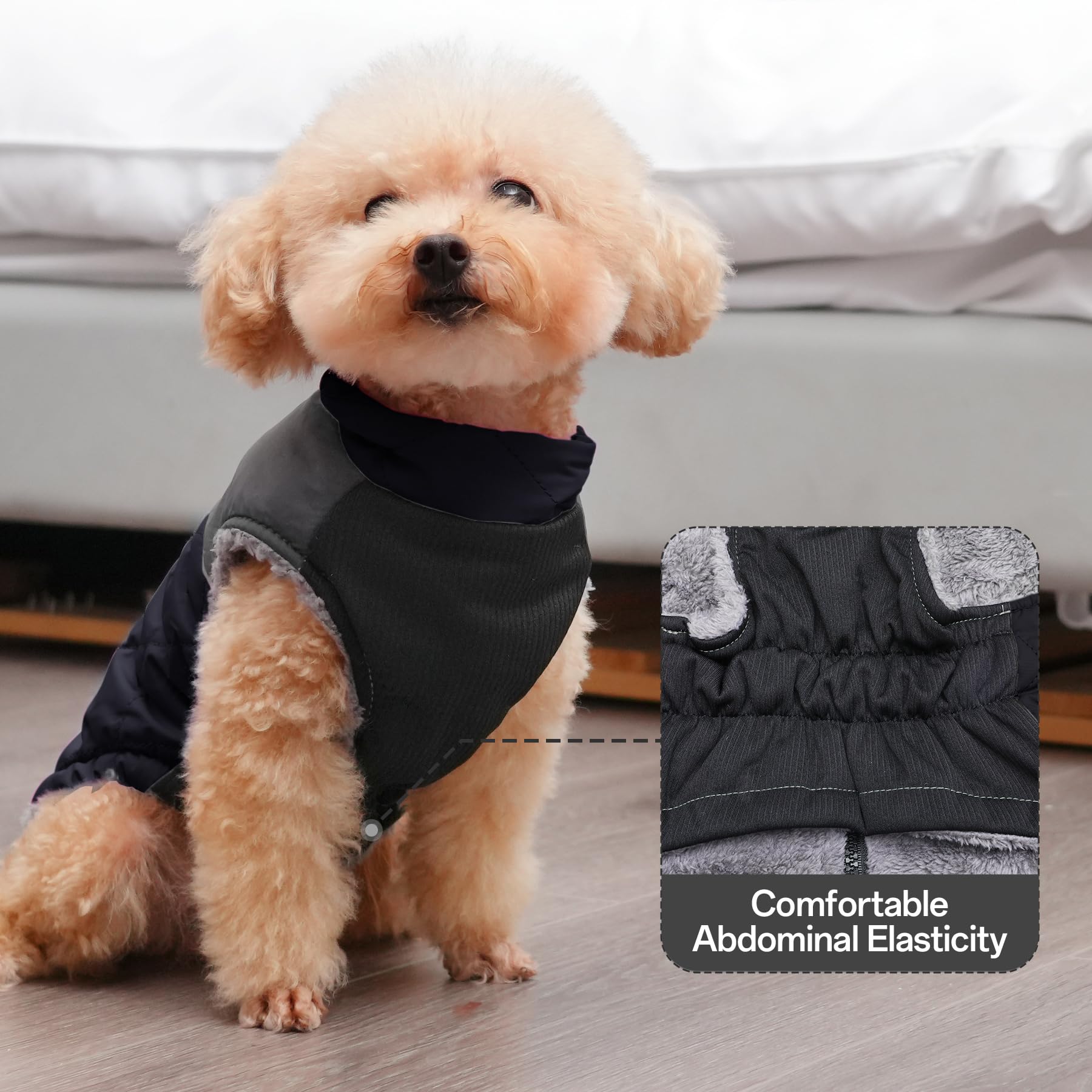 JoyDaog size L helps measure chest girth for fit