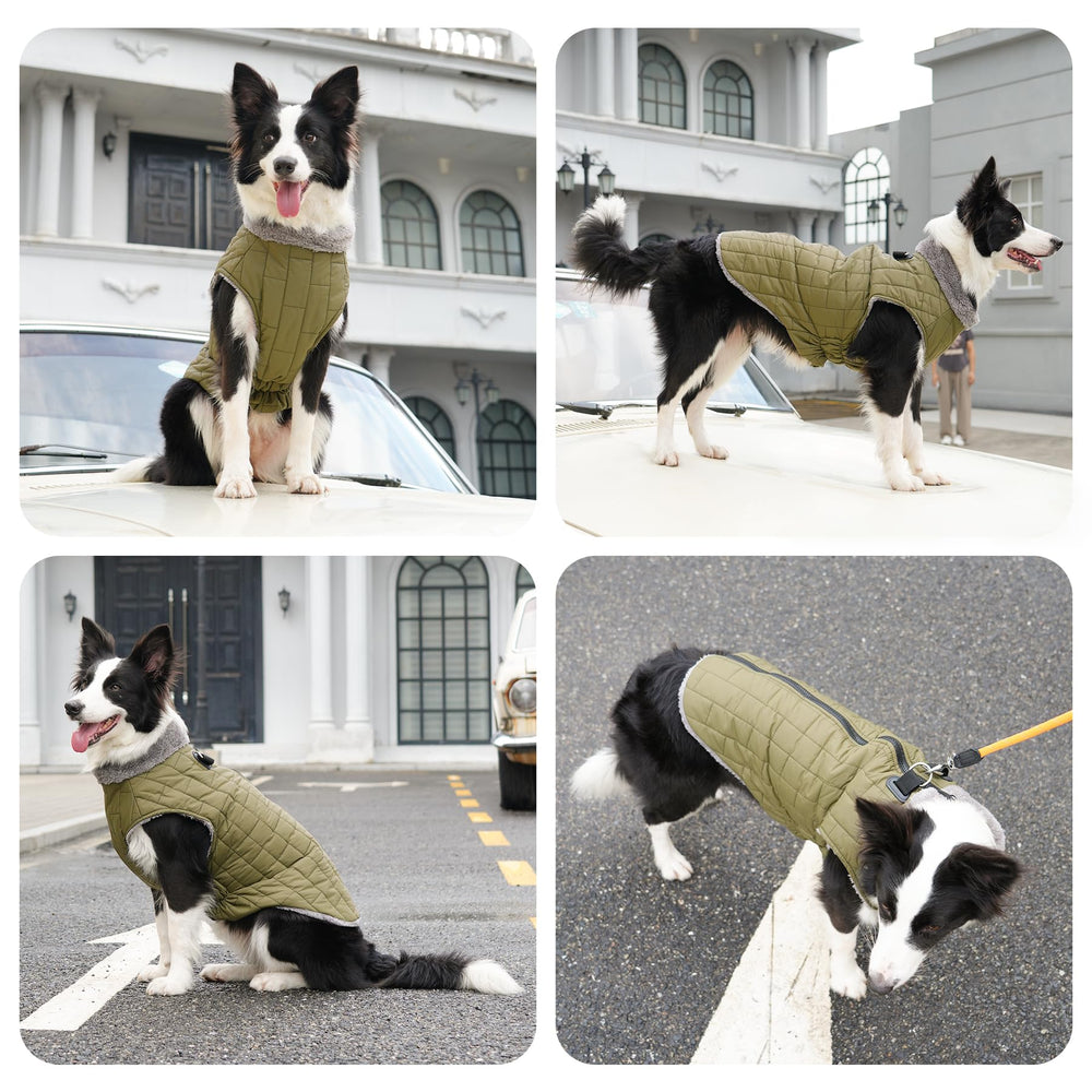 JoyDaog suited for small dogs with precise chest measurements.