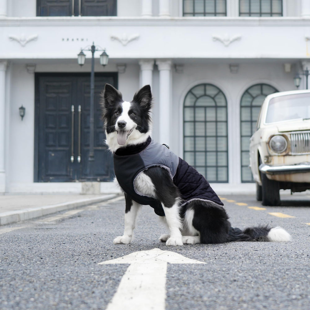 JoyDaog coat suitable for medium dogs in winter warmth