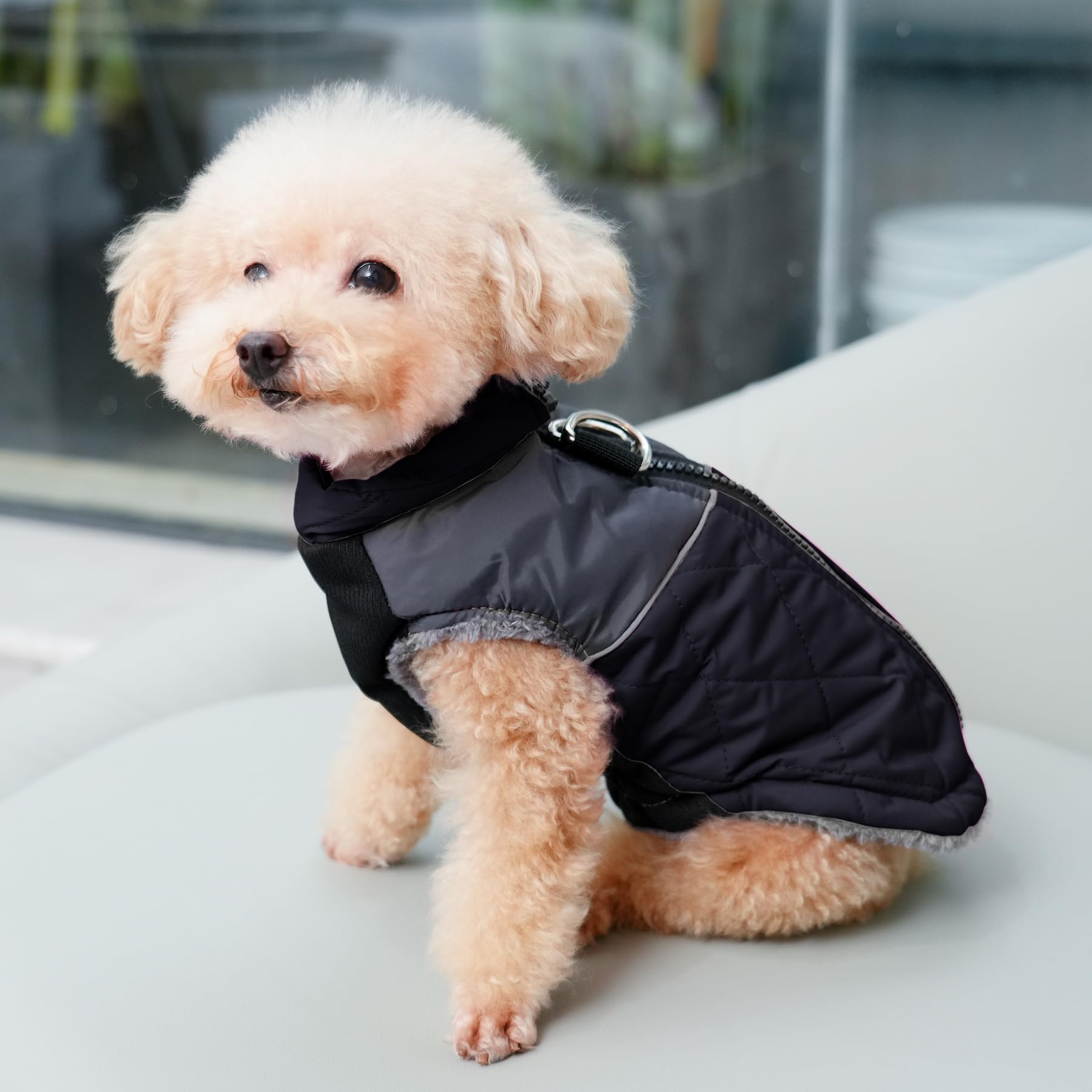JoyDaog coat zipper design for easy on/off
