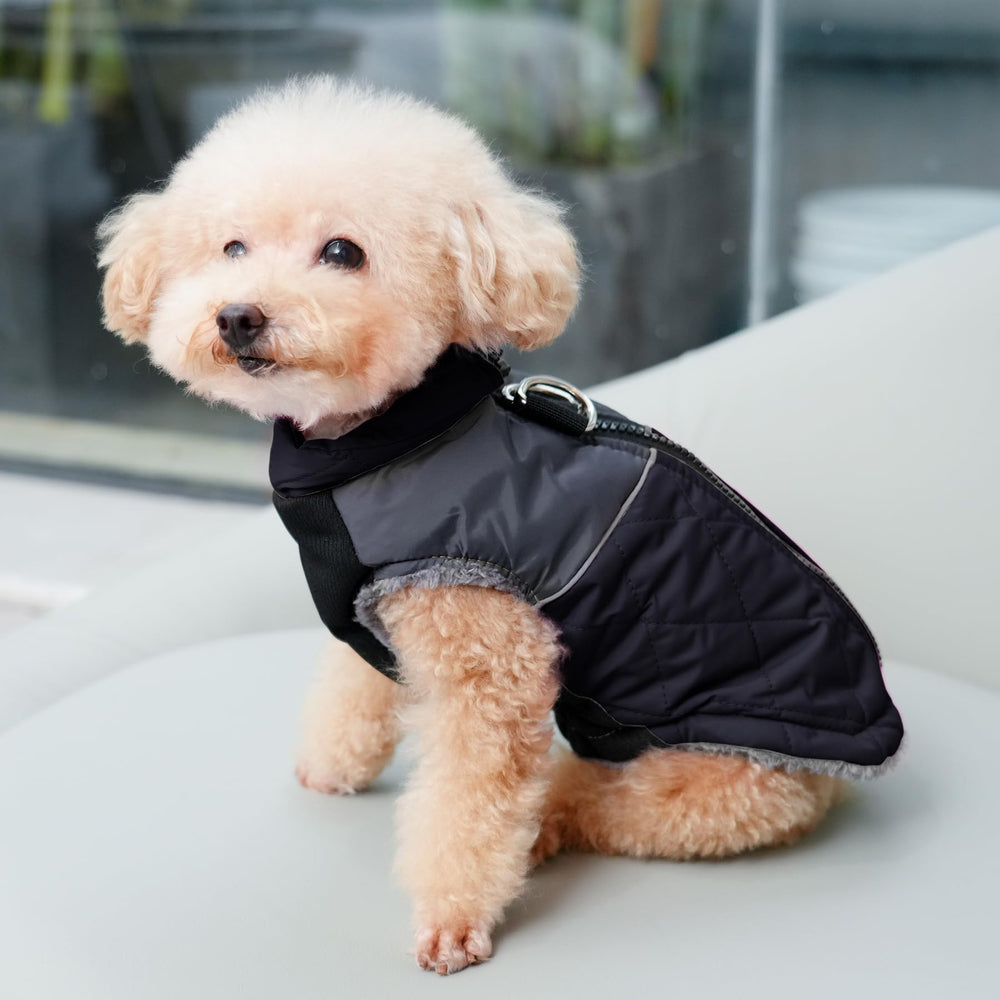JoyDaog coat zipper design for easy on/off