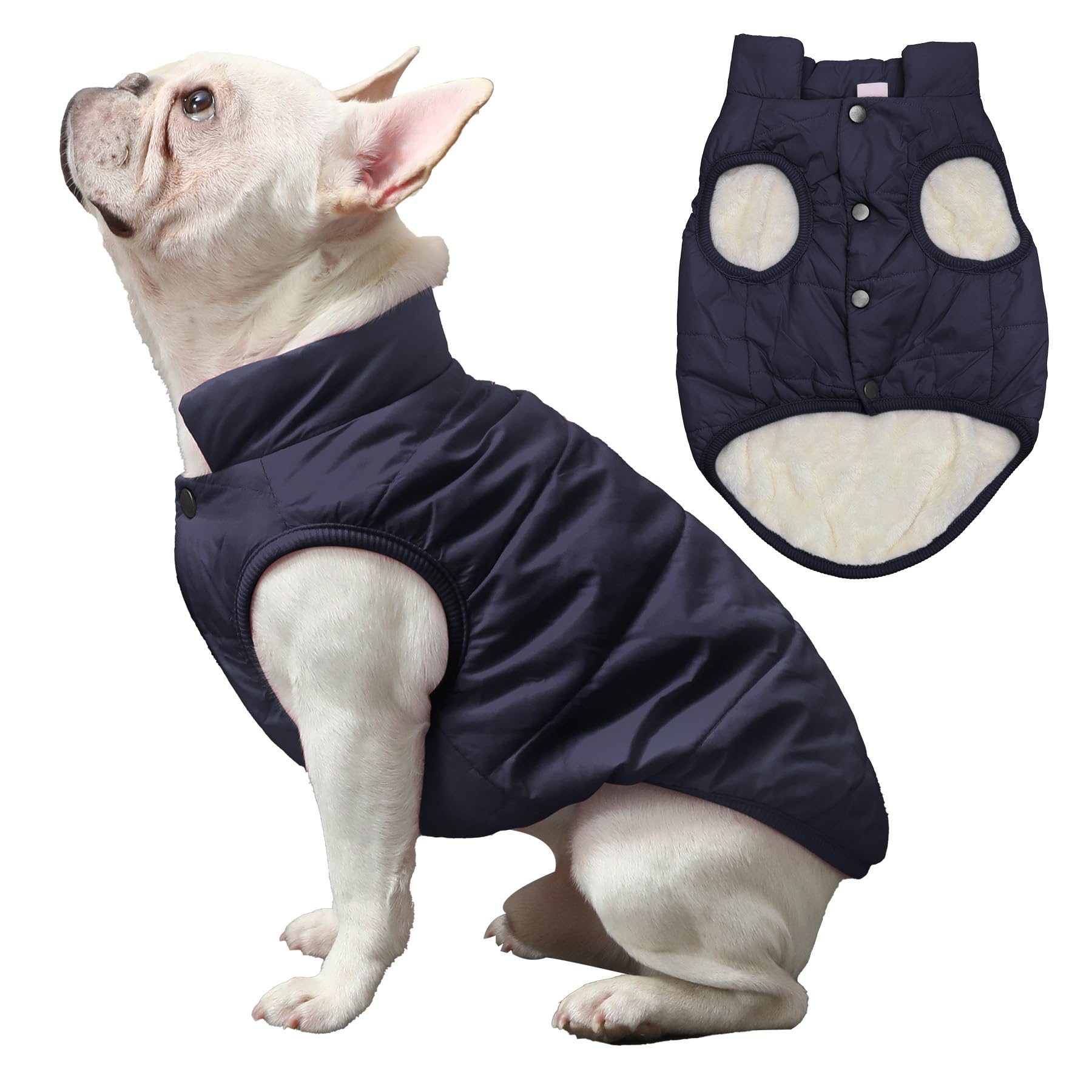 JoyDaog windproof blue XS dog coat keeps chilly air out