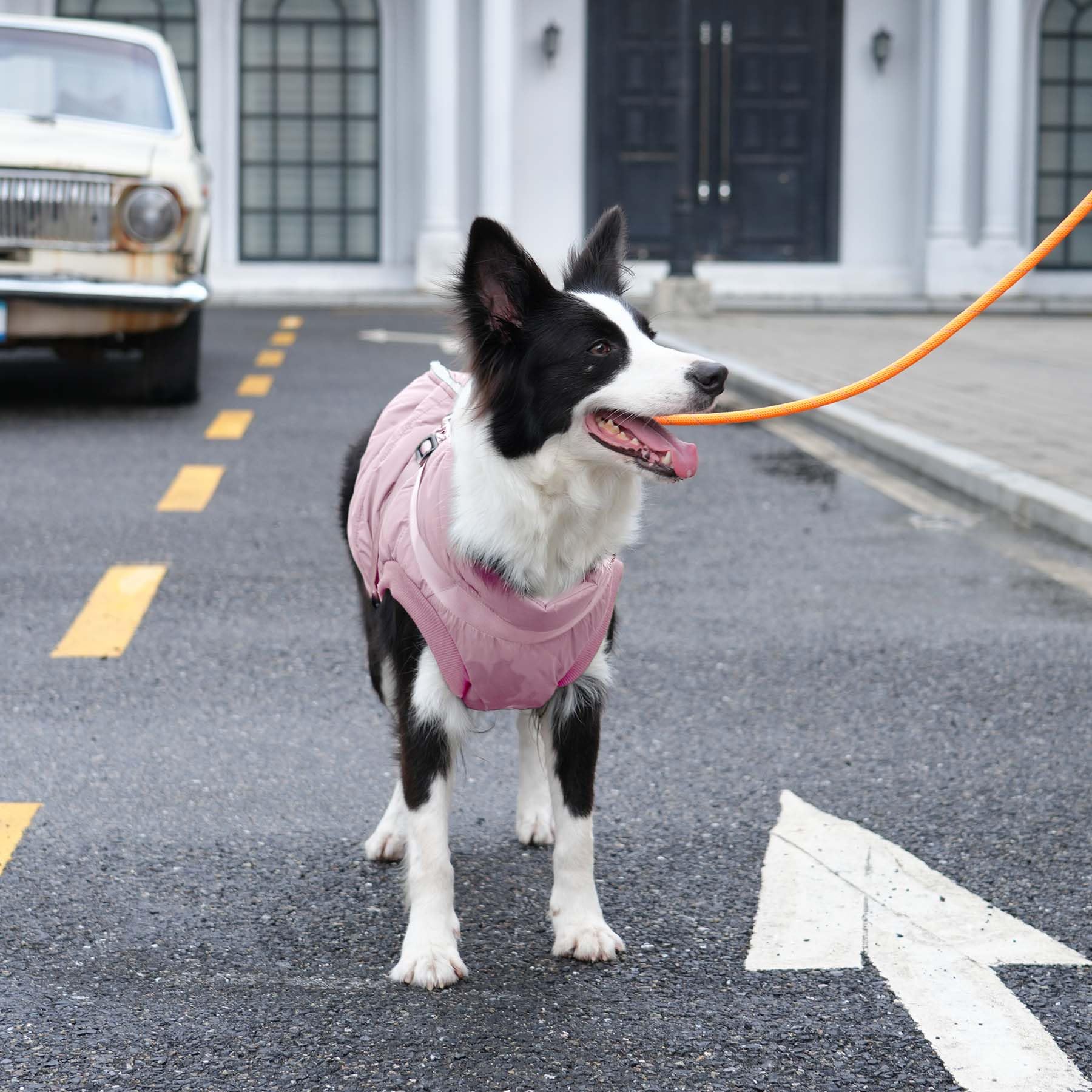 JoyDaog windproof fabric shot showcases flexible, lightweight warmth during winter strolls