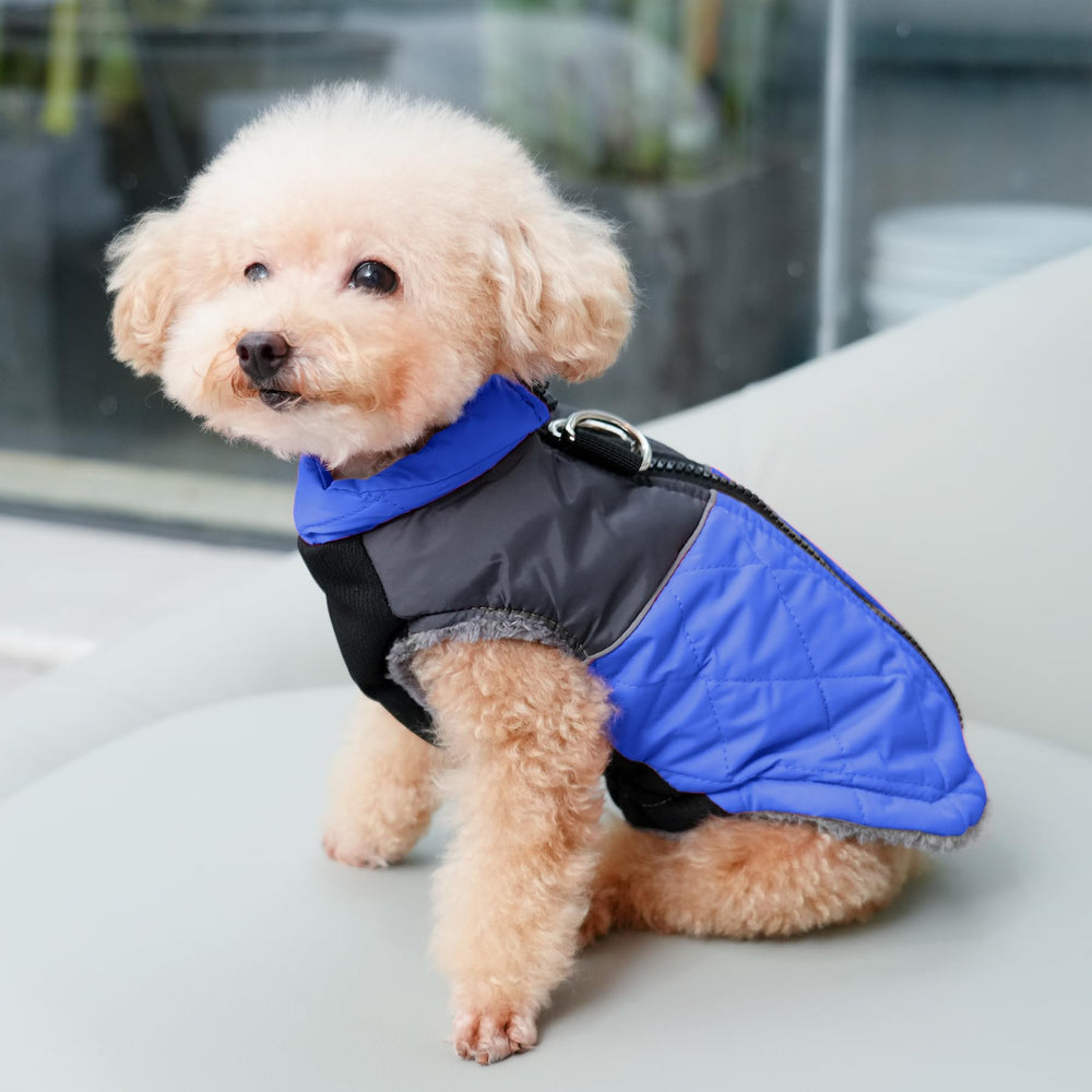 JoyDaog zipper design demonstrates easy on and off for quick dressing
