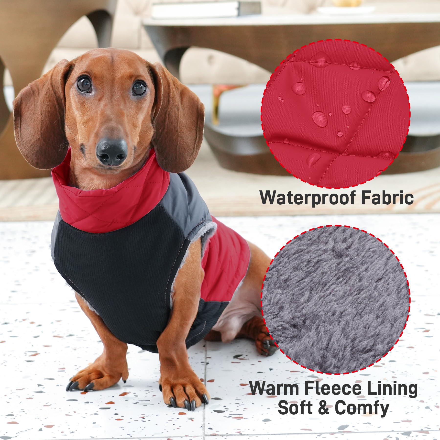 JoyDaog zipper design enables easy on off for quick seasonal wear.