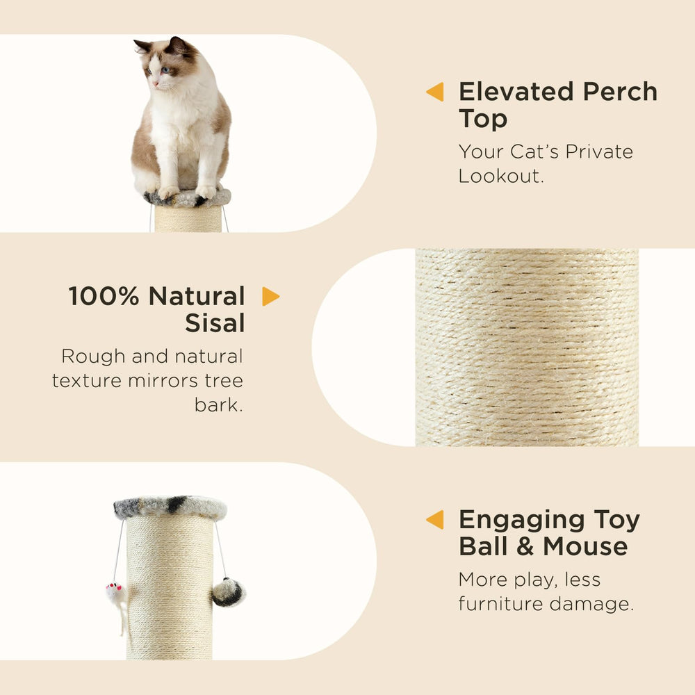 Joydeco cat scratching post mice scene shows engaging scratching and pursuit play.