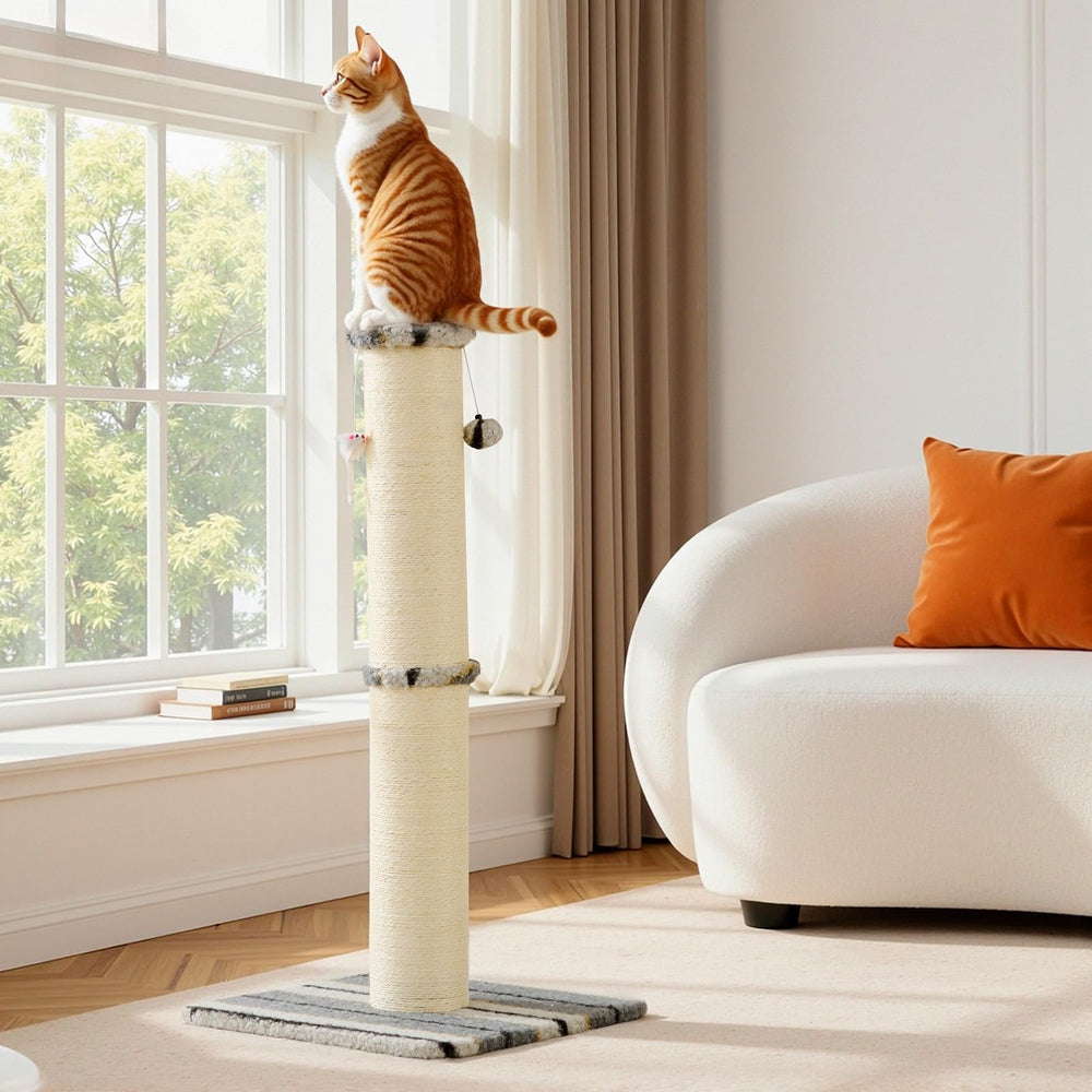 Joydeco cat scratching post multi-surface image displays sisal and carpet options.