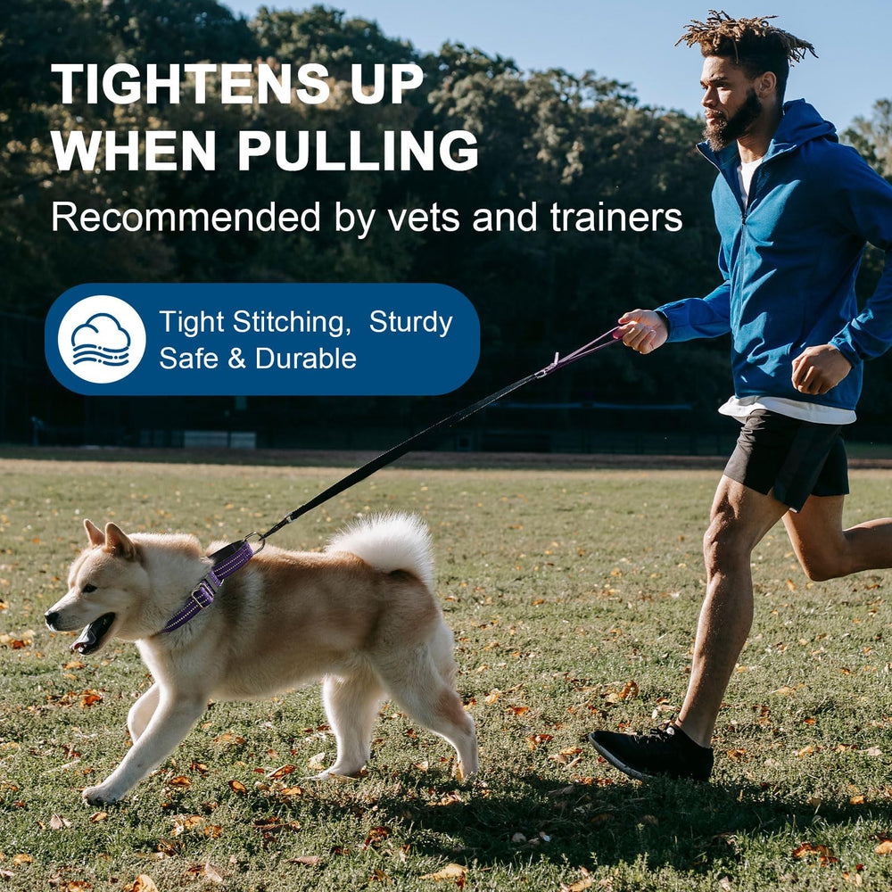 Joyeeiioo Martingale no-pull design aiding controlled walks