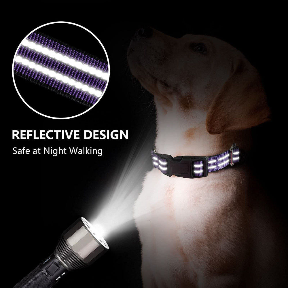 Joyeeiioo Martingale dog collar quick-release buckle for easy on/off