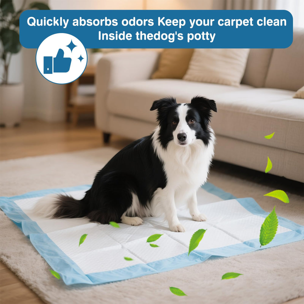Joyeux Daily unscented pad with odor-control for sensitive noses.