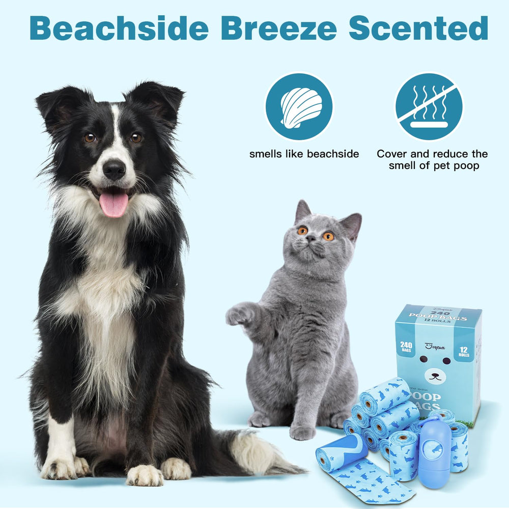 Joyeux blue packaging highlights a 240-count supply for homes.