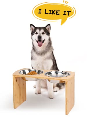 JOYOPAW wide-dog-bowl-setup-07 features 68oz capacity for easy hydration.