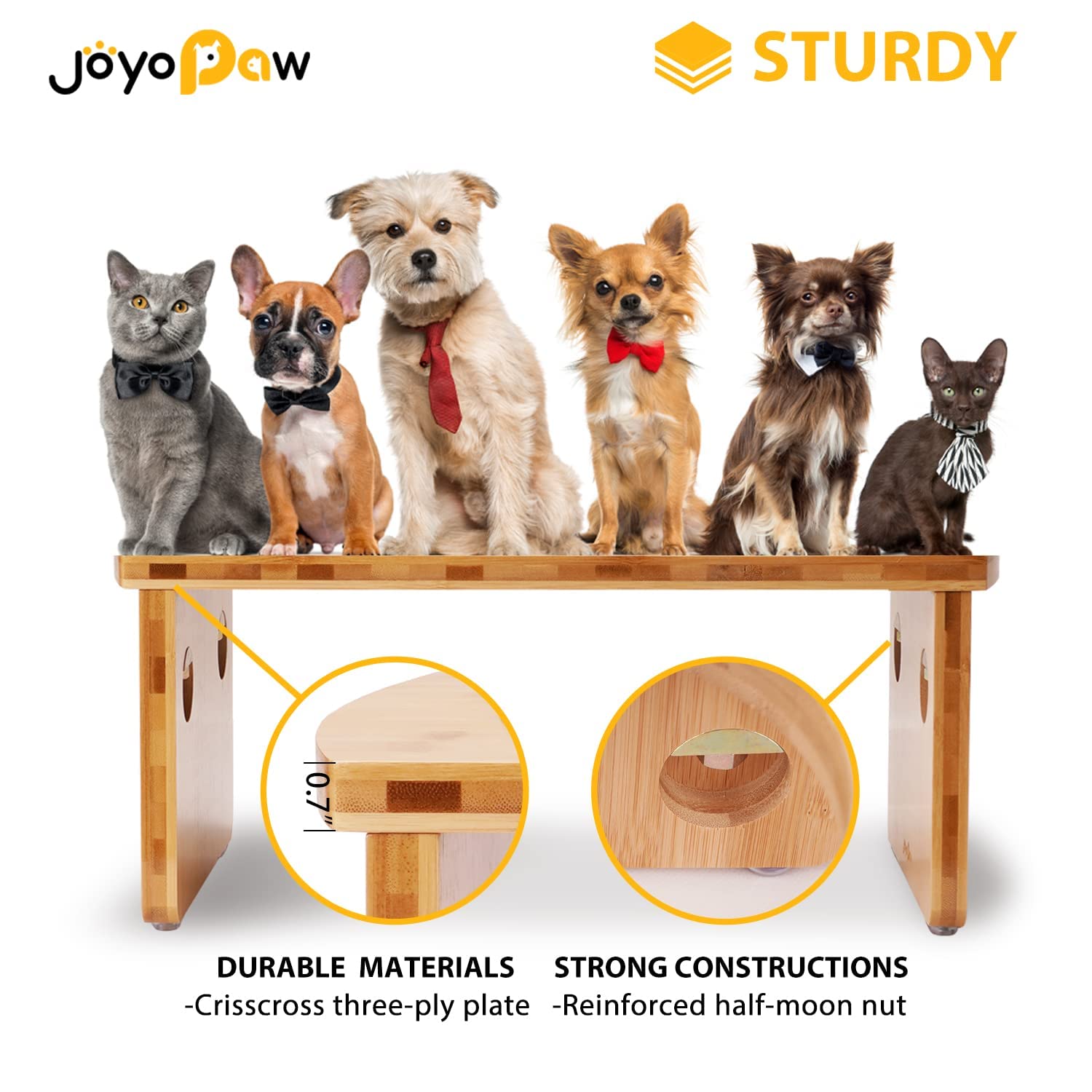 JOYOPAW two-stainless-steel-bowls-20oz in stand for easy-cleaning