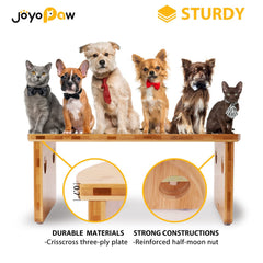 JOYOPAW two-stainless-steel-bowls-20oz in stand for easy-cleaning