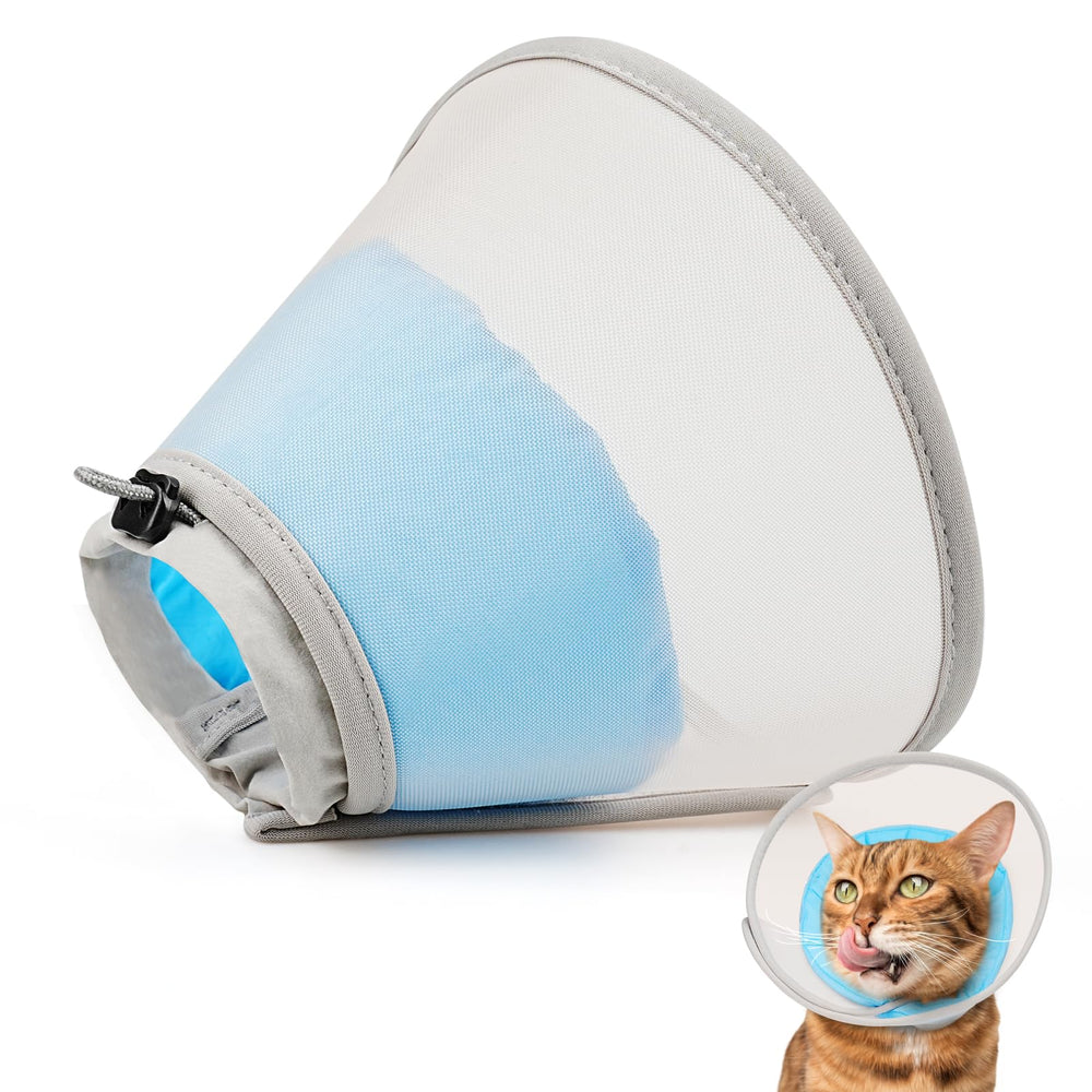 Joypig Cat Cone Soft recovery-use scene with owner guidance
