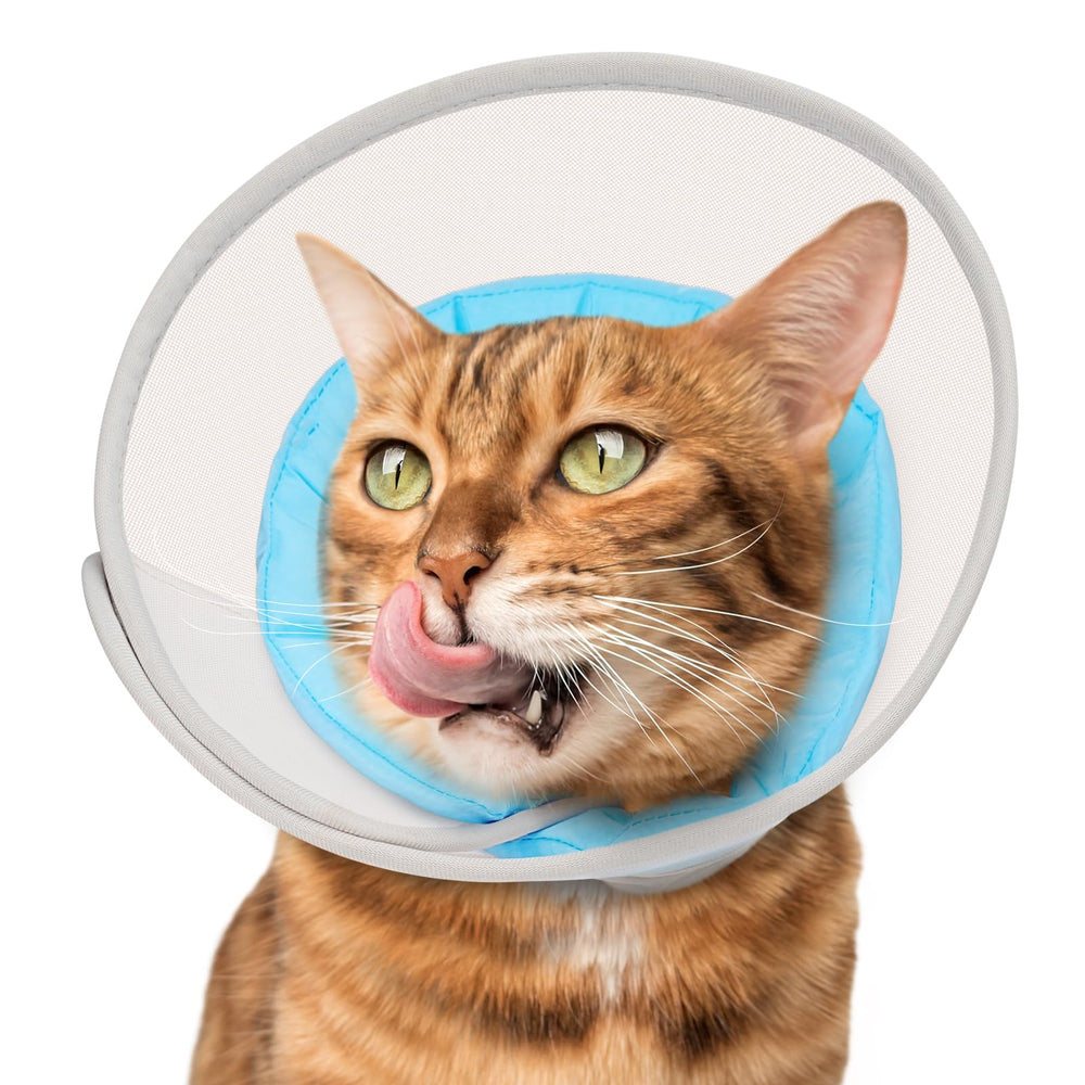 Joypig Cat Cone Soft waterproof mesh neck keeps wounds dry during recovery