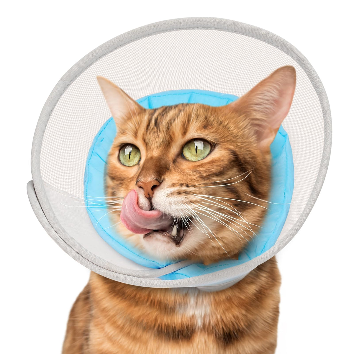Joypig Cat Cone Soft waterproof mesh neck keeps wounds dry during recovery