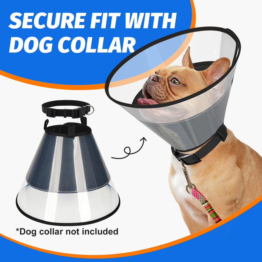Joypig comfort tips cone anxiety image suggests reassuring use for nervous dogs.