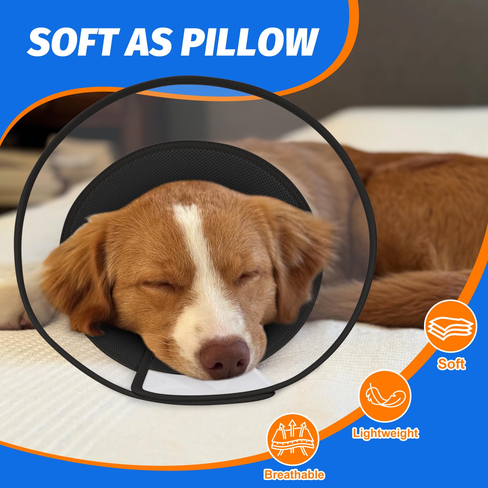Joypig dog cone six-size adjustable demonstrates versatile fit for dogs.