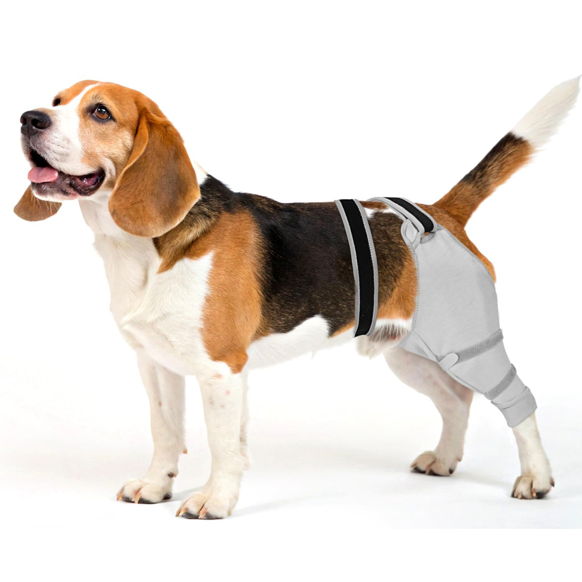 Joypig rear-leg sleeve with soft breathable fabric for all-day comfort