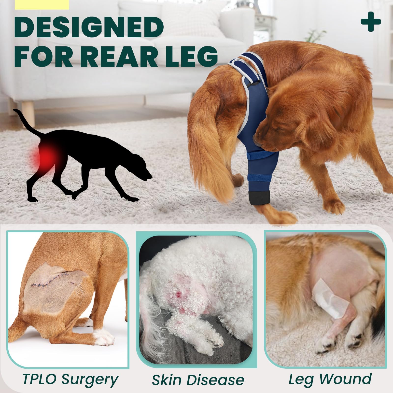 Joypig Sleeve on a dog during walk shows freedom to move and play.