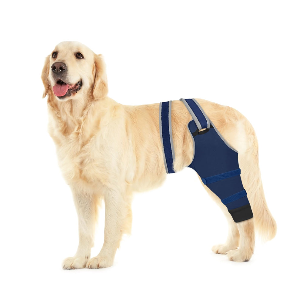 Joypig Sleeve for Dog Rear Leg in use, preventing licking after surgery.