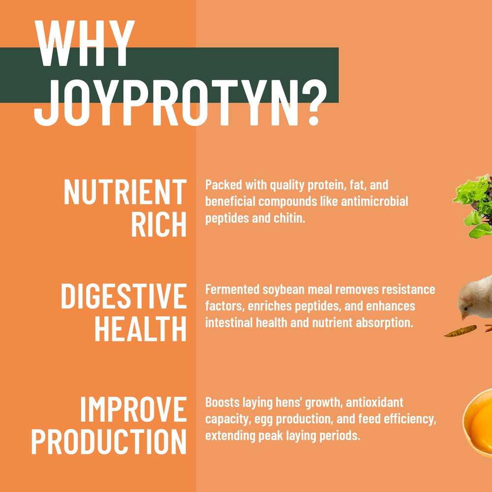 Joyprotyn BSFL calcium-rich powder near scoop suggesting stronger eggshells