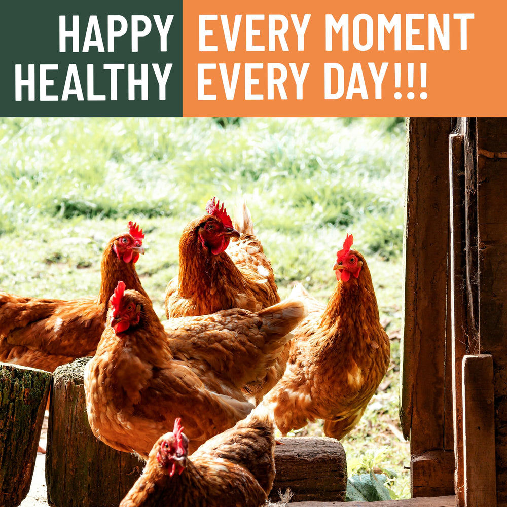 Joyprotyn non-GMO label reinforces trusted, natural ingredient sourcing for poultry diets