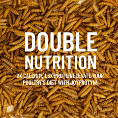 Joyprotyn BSFL protein-rich powder highlighting high protein content for growth