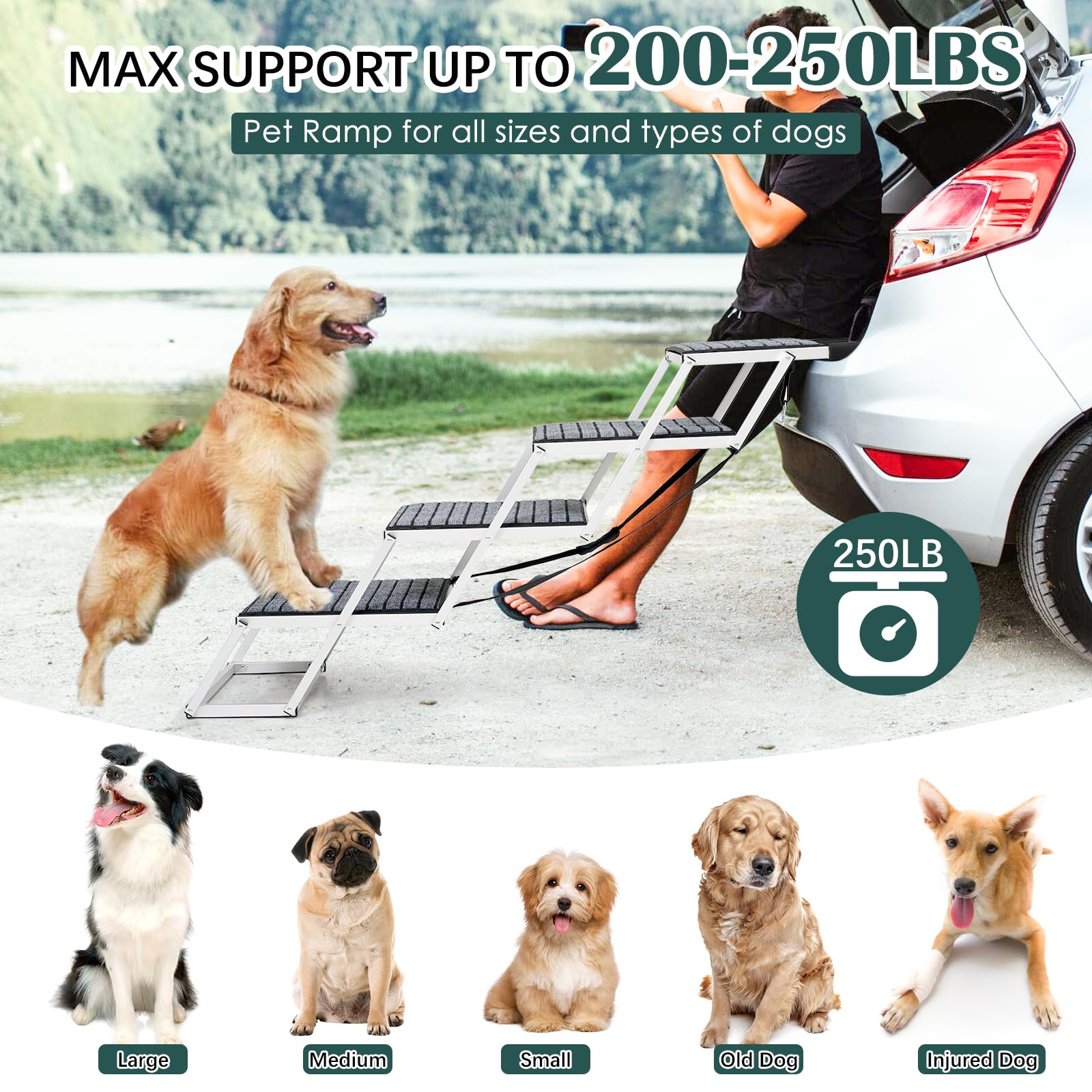 Joyrally extra-wide dog stairs provide stable access to vehicles.