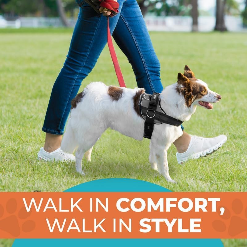 Joyride Harness 2.0 adjustable straps ensure a secure fit for different builds.