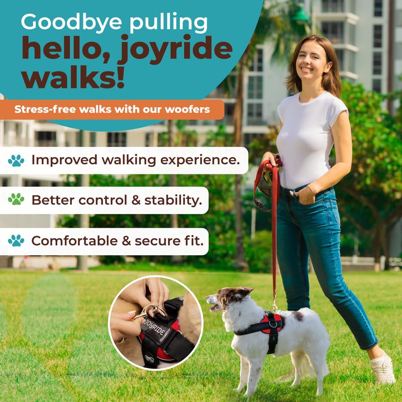 Joyride Harness 2.0 includes 13 customizable name tags for safety and style.