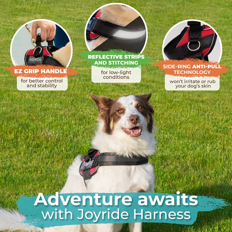 Joyride Harness 2.0 dual adjustable straps for a secure, customized fit.