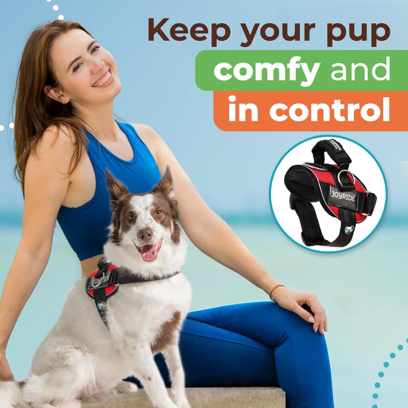 Joyride Harness 2.0 durable buckle closure enables quick, secure on-off.