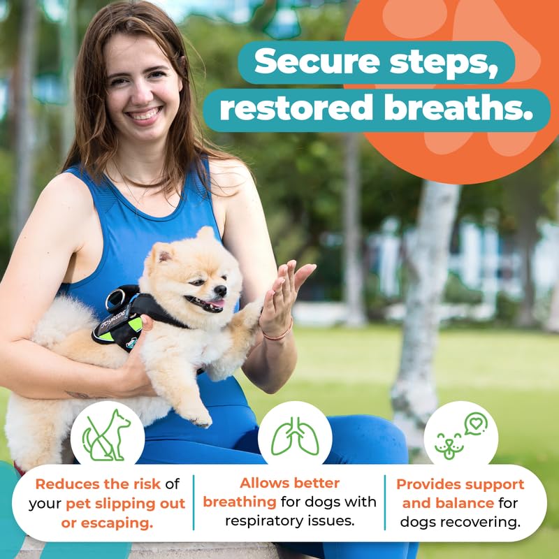 Joyride Harness 2.0 durable-buckle-closure keeps harness secure during active play.