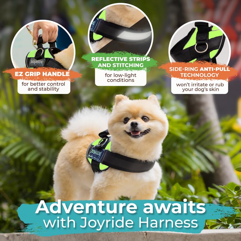 Joyride Harness 2.0 emergency safety handle supports quick control in crowded areas.