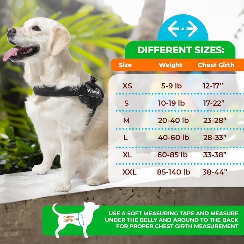 Joyride Harness 2.0 escape-proof design shown during park run for confident handling.