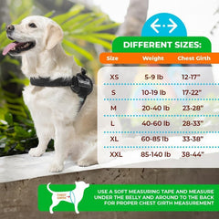 Joyride Harness 2.0 escape-proof design shown during park run for confident handling.