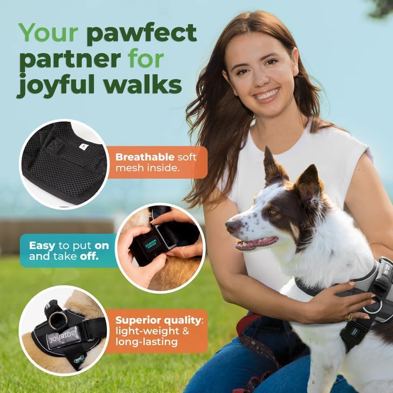 Joyride Harness 2.0 EZ grip handle aids quick control in busy streets.