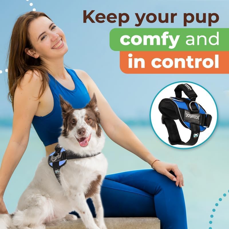 Joyride Harness 2.0 customizable name tags boost safety and style on walks.