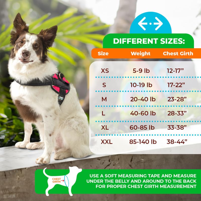 Joyride Harness 2.0 with pressure-release technology for comfortable outings.