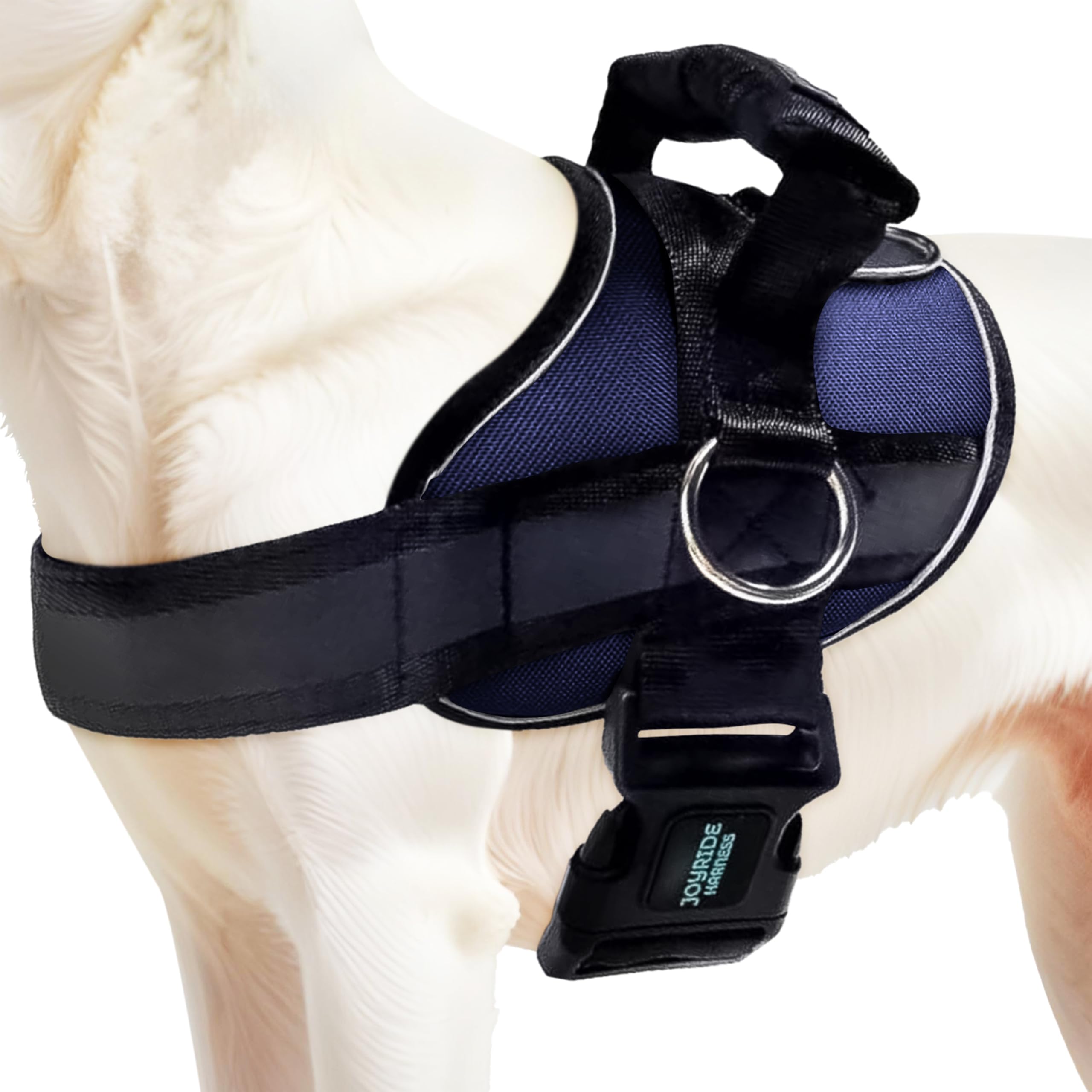Joyride Harness 2.0 side ring no-pull on dog during calm city walks with better control.