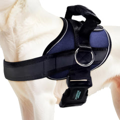 Joyride Harness 2.0 side ring no-pull on dog during calm city walks with better control.