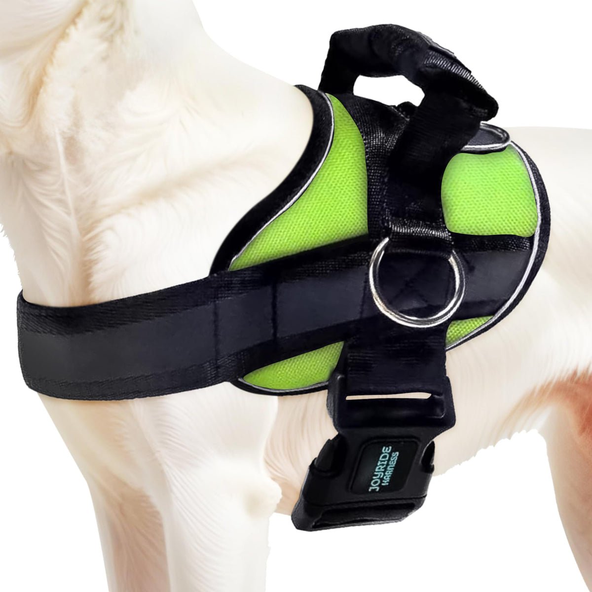 Joyride Harness 2.0 side-ring on dog chest for calm, no-pull walks.