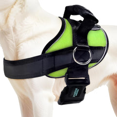 Joyride Harness 2.0 side-ring on dog chest for calm, no-pull walks.
