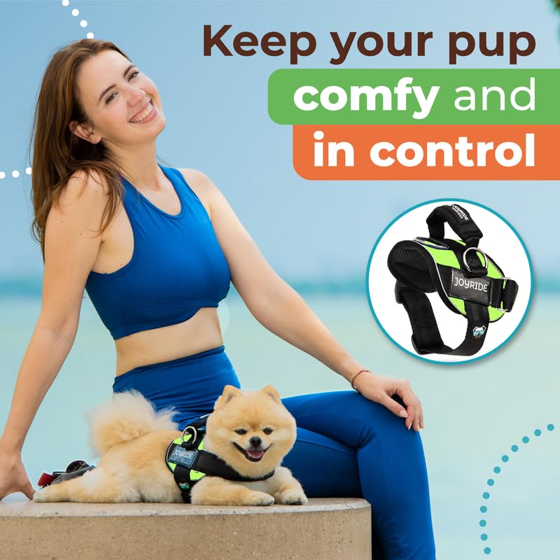 Joyride Harness 2.0 fits small to large dogs for versatile everyday adventures.