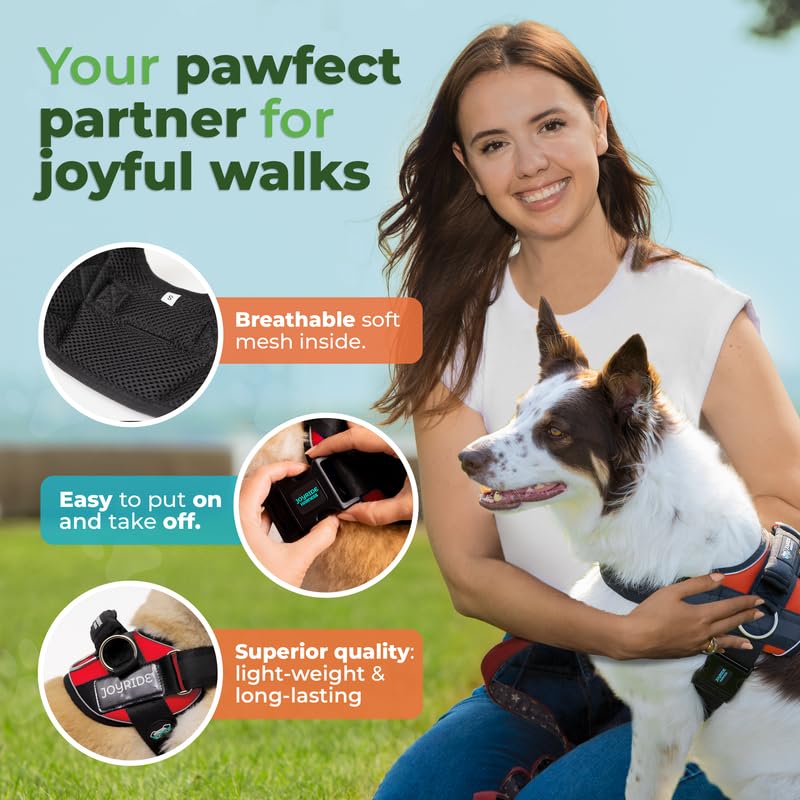 Joyride Harness 2.0 features three leash clips for flexible training and walking.