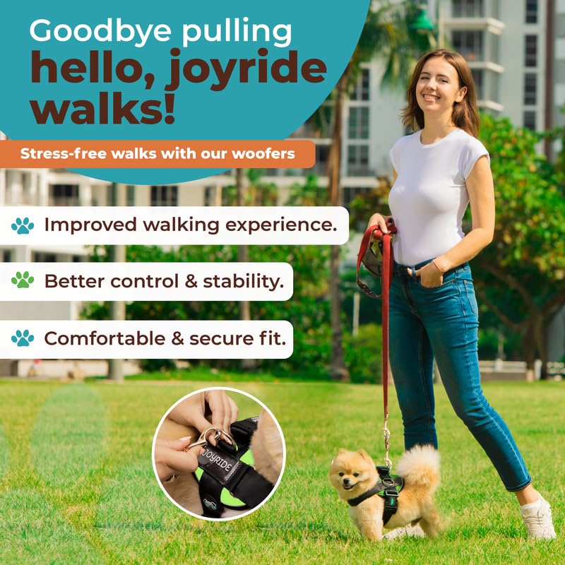 Joyride Harness 2.0 three-leash-clips enable versatile leash setups.