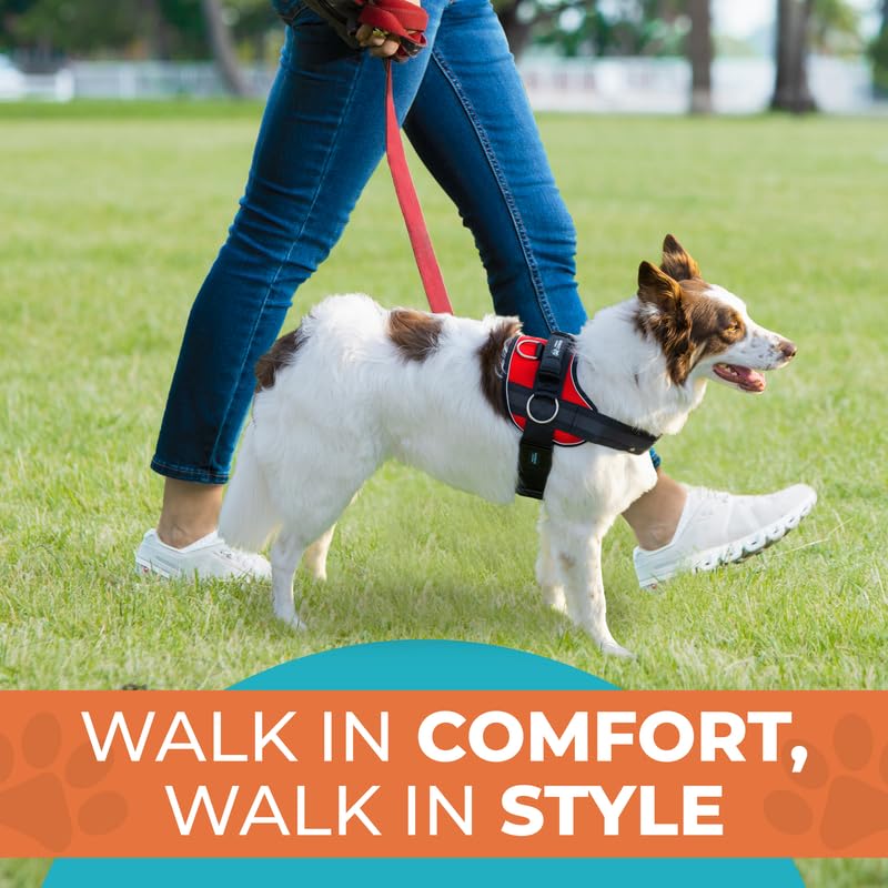 Joyride Harness 2.0 two-point adjustments provide a tailored wearing experience.