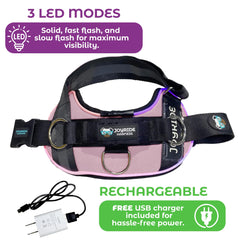 Joyride Harness three LED modes enabling adaptable lighting during strolls.